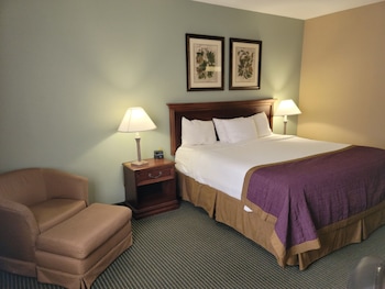 Deluxe Room, 1 King Bed