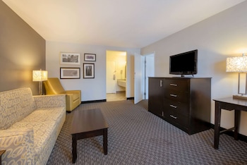 Suite, 1 King Bed, Non Smoking