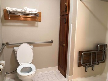 Room, 1 Queen Bed, Mobility Accessible, Non Smoking (Roll-in Shower)