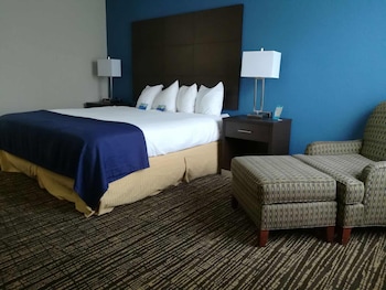 Room, 1 King Bed, Non Smoking