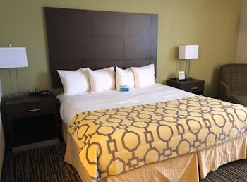 Room, 1 King Bed, Accessible, Non Smoking