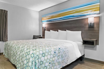 Studio, 1 King Bed, Accessible, Non Smoking