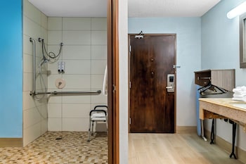 Studio, 1 King Bed, Accessible, Non Smoking (Roll-In Shower)