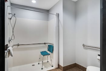 Room, 1 King Bed, Accessible, Non Smoking (Mobility,Roll-In Shower)