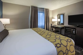 Deluxe Room, 1 King Bed, Non Smoking