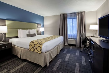 Deluxe Room, 1 King Bed, Non Smoking