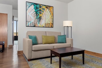 Room, 1 King Bed with Sofa bed