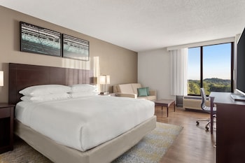 Room, 1 King Bed with Sofa bed