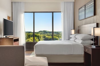 Room, 1 King Bed with Sofa bed