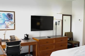 Room, 1 Double Bed, Accessible, Non Smoking (Mobility,Hearing,Roll-In Shower)