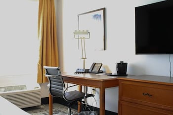 Room, 1 Double Bed, Accessible, Non Smoking (Mobility,Hearing,Roll-In Shower)