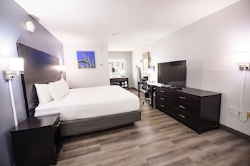 Room, 1 Bedroom, Non Smoking (1 King Bed)