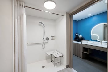 Standard Room, 1 King Bed, Accessible (Communications, Roll-In Shower)