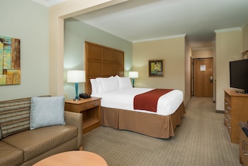 Suite, 1 Queen Bed