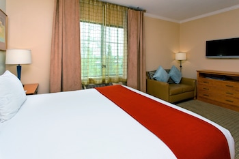 Suite, 1 King Bed, Roll-in Shower (Accessible, Mobility)
