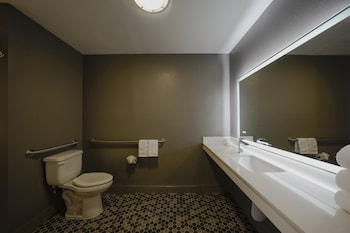 Suite, 1 Queen Bed, Roll-in Shower (Mobility Accessible)