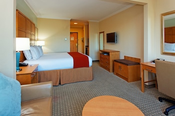 Suite, 1 King Bed