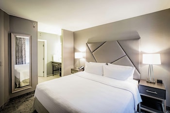 Suite, 1 King Bed