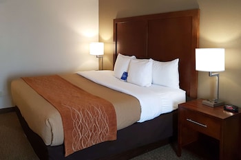 Standard Room, 1 King Bed, Non Smoking