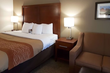 Standard Room, 1 King Bed with Sofa bed, Non Smoking