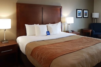 Standard Room, 1 King Bed, Non Smoking