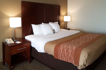 Standard Room, 1 King Bed, Non Smoking
