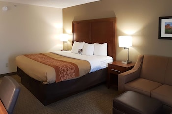Standard Room, 1 King Bed with Sofa bed, Non Smoking