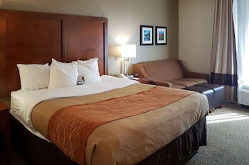 Standard Room, 1 King Bed with Sofa bed, Non Smoking