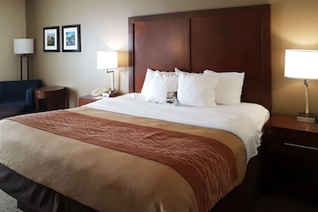 Standard Room, 1 King Bed, Non Smoking