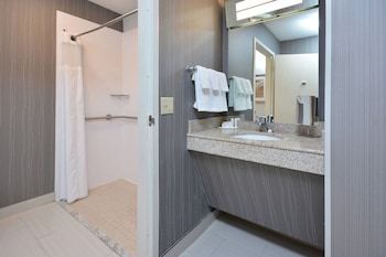 Room, 1 King Bed, Roll-in Shower