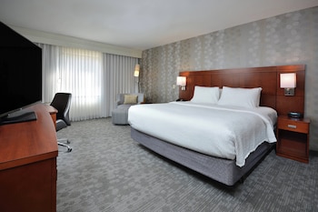 Room, 1 King Bed, Roll-in Shower
