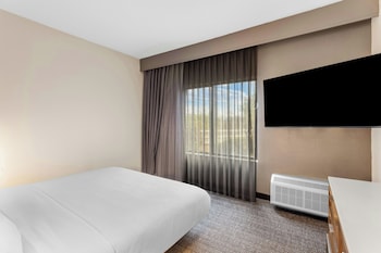 Suite, 1 Bedroom, Hearing Accessible (Roll-in Shower)