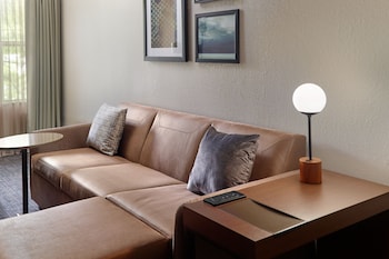 Studio, 1 King Bed with Sofa bed