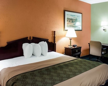 Room, 1 King Bed, Accessible, Non Smoking
