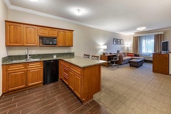 Suite, 1 King Bed, Non Smoking