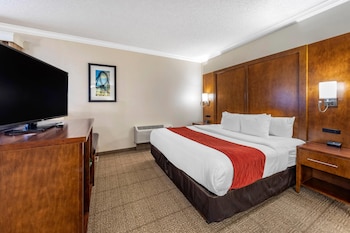 Suite, 1 King Bed, Non Smoking