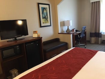 Suite, 1 King Bed with Sofa bed, Accessible, Non Smoking
