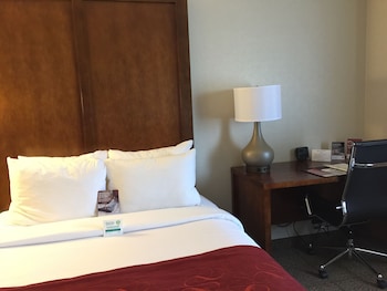 Studio Suite, 2 Queen Beds