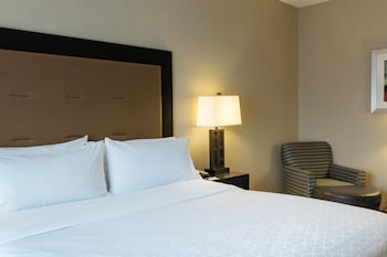 Standard Room, 1 King Bed, Accessible (Mobility, Accessible Tub)