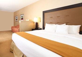 Standard Room, 1 King Bed with Sofa bed