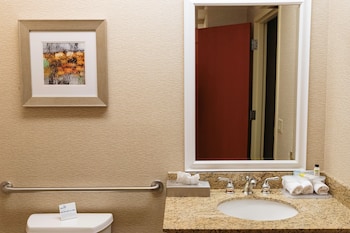 Standard Room, 1 King Bed, Accessible (Mobility, Accessible Tub)