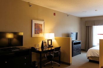 Suite, 1 King Bed with Sofa bed (Wet Bar)