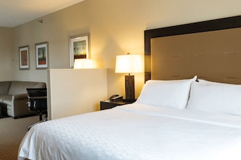 Standard Room, 1 King Bed with Sofa bed