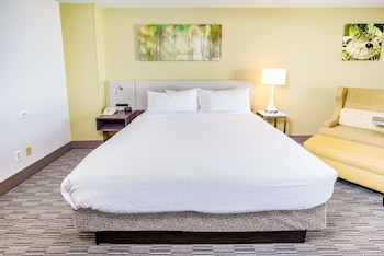 Suite, 1 King Bed