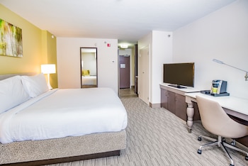 Room, 1 King Bed, Accessible, Bathtub (Mobility & Hearing)