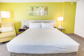 Room, 1 King Bed, Accessible (Mobility & Hearing, Roll-in Shower)
