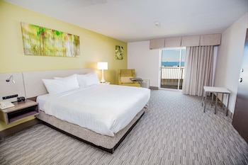 Suite, 1 King Bed