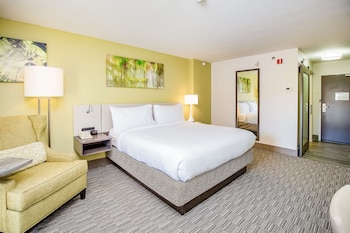 Room, 1 King Bed, Accessible, Bathtub (Mobility & Hearing)