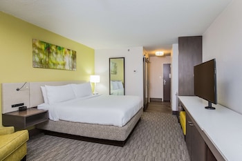 Room, 1 King Bed (Limited View)