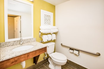 Room, 1 King Bed, Accessible (Mobility & Hearing, Roll-in Shower)